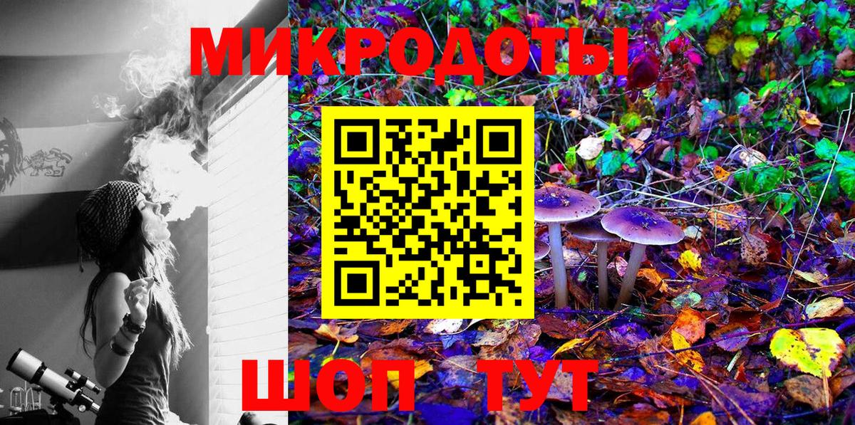 Галлюциногенные грибы Psilocybine cubensis  Вход с VPN  Серпухов 